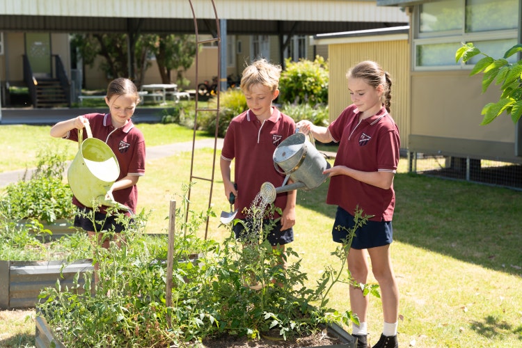 Picture of students water garden